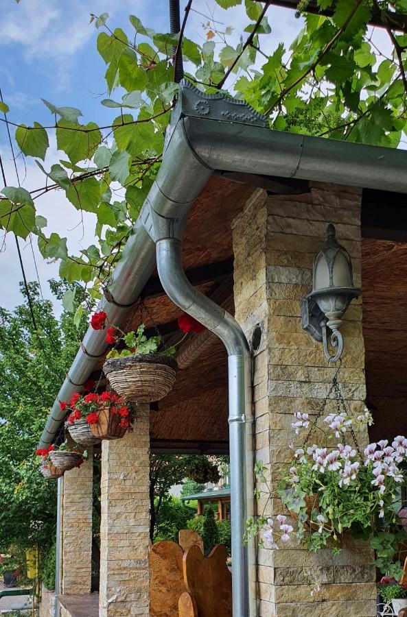 Vila Prezident Sremski Karlovci Buitenkant foto